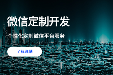 软件开发